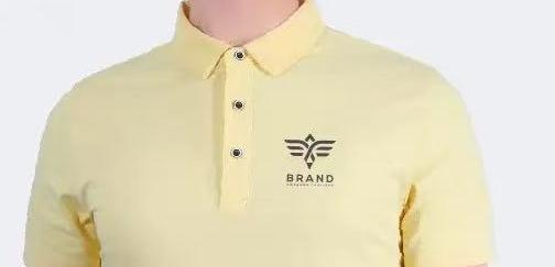 �������Polo��׌���մ����(w��n)�A��